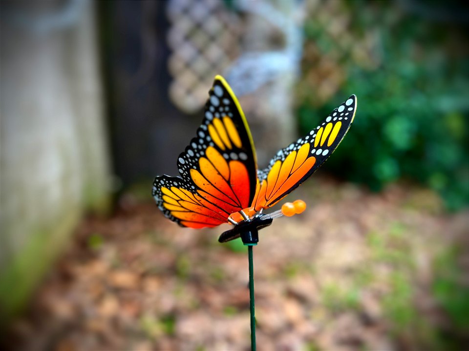 Faux Butterfly