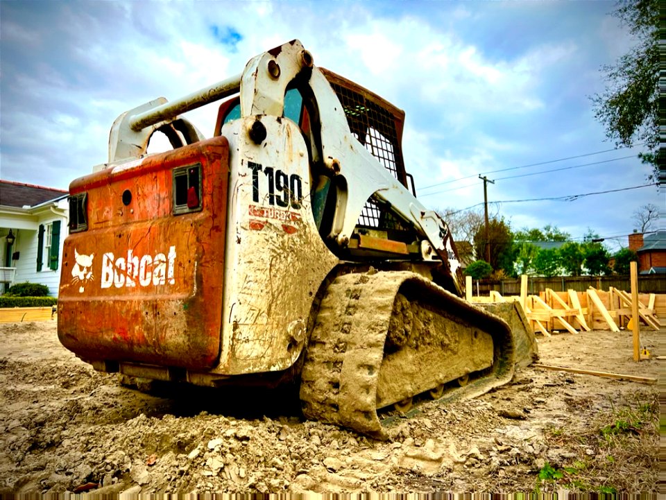 Bobcat