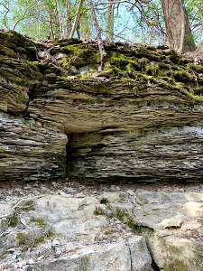 Devonian Aged Carbonates - Columbus, Ohio, USA photo