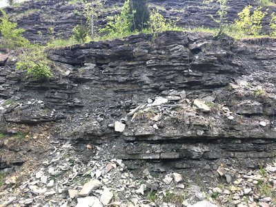 Thrust Fault in Carbonates (Bellevue Member, McMillan Formation, Maysville, Kentucky, USA) photo