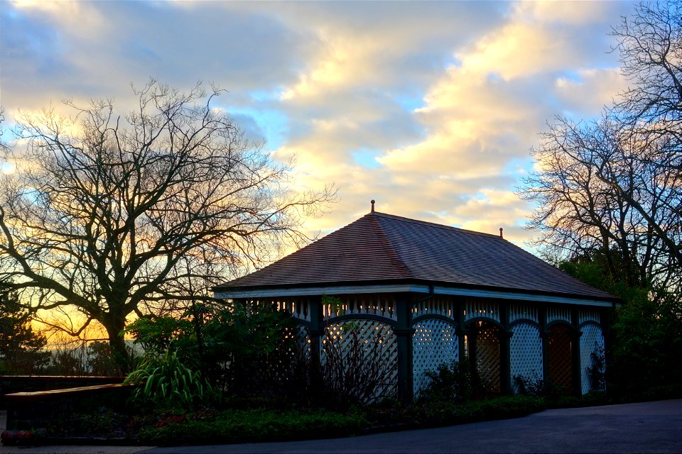 Rustic Teahouse Morning