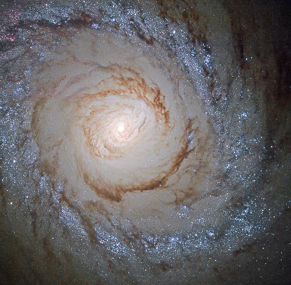 Starburst Galaxy Messier
