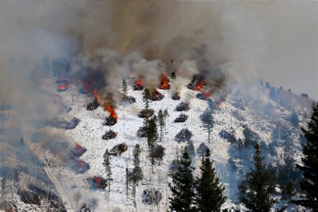 Pile Burning on a Mountain Side in the Beaver Ranger District