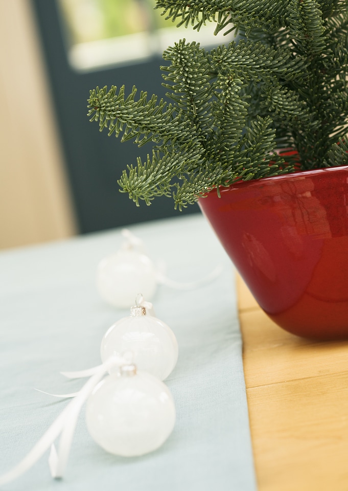 Christmas decoration in heart shape in red pot