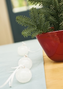 Christmas decoration in heart shape in red pot photo