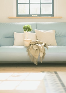 modern interior room with a flower pot