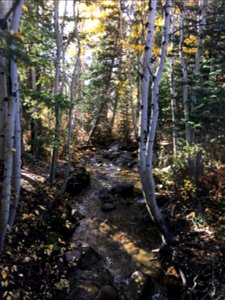 Bells Canyon, Uinta-Wasatch-Cache National Forest, Utah