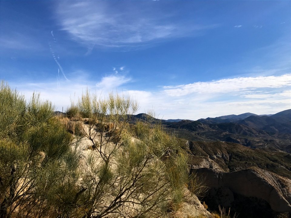 Beas de Granada 4