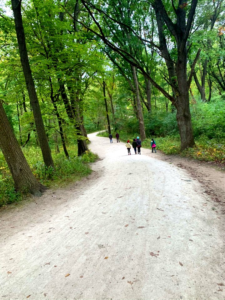 Waterfall Glen Forest Preserve