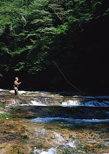 A fisherman fishing on a river with forest photo