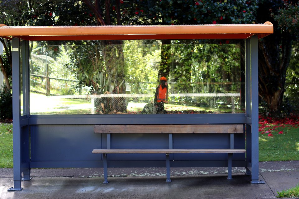 Empty bus shelter in leafy suburb, Ngāmotu New Plymouth, Taranaki, New Zealand