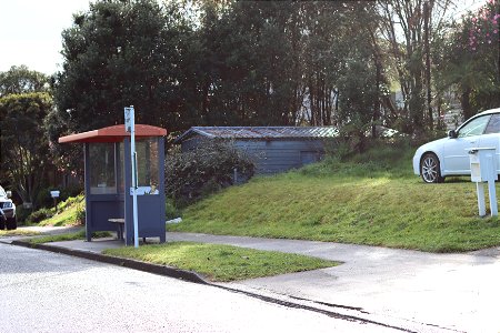 Bus shelter in front of old tin garage and tall trees,  Ngāmotu New Plymouth, Taranaki, New Zealand