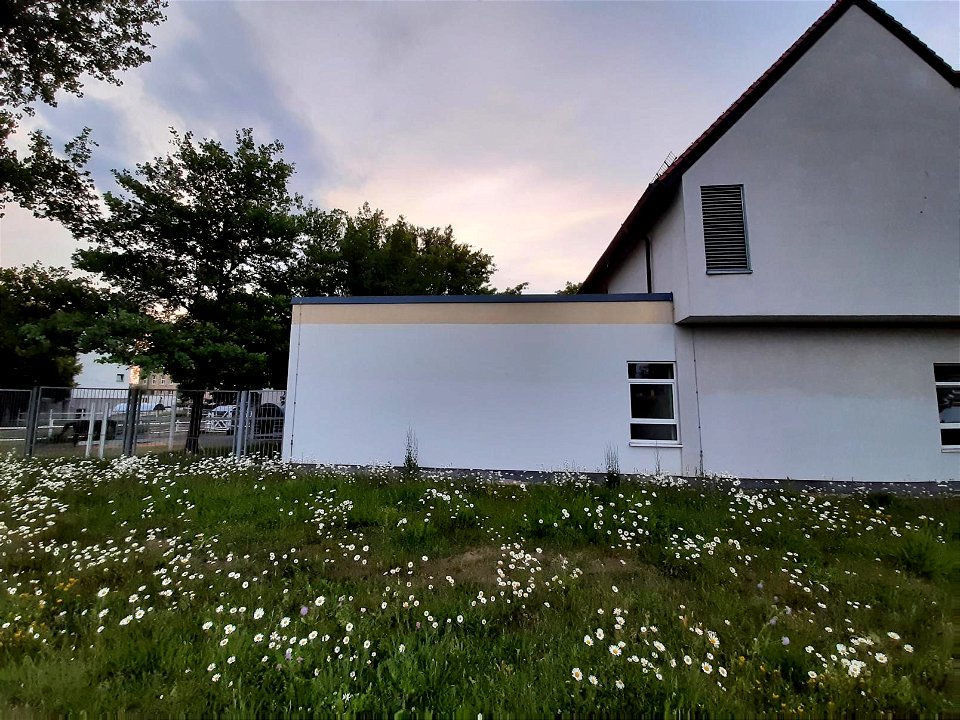 Veterinärmedizin (2)