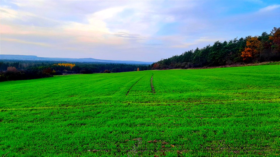 lovely landscape