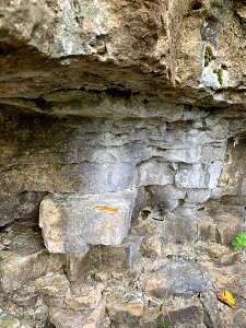 Dolomites with scale (Cedarville Dolomite over Springfield Dolomite, Middle Silurian; outcrop in John Bryan State Park, Ohio, USA) photo