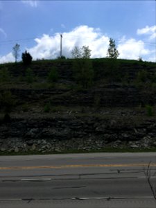 Thrust Fault in Carbonates (Bellevue Member, McMillan Formation, Maysville, Kentucky, USA)