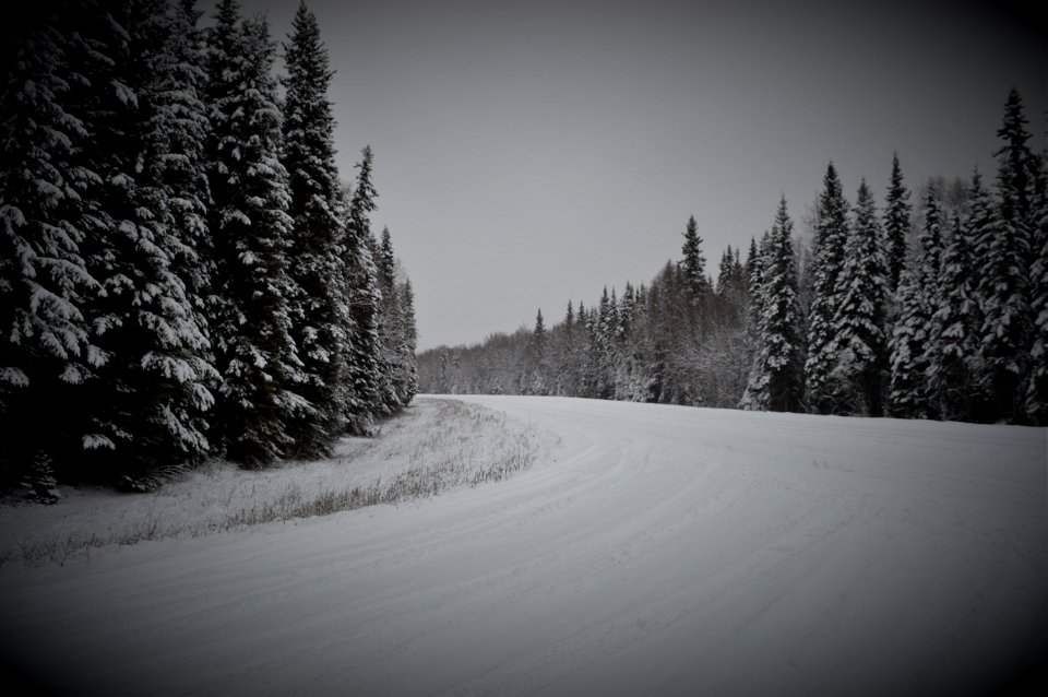 Alaska Winter 2017 (2)