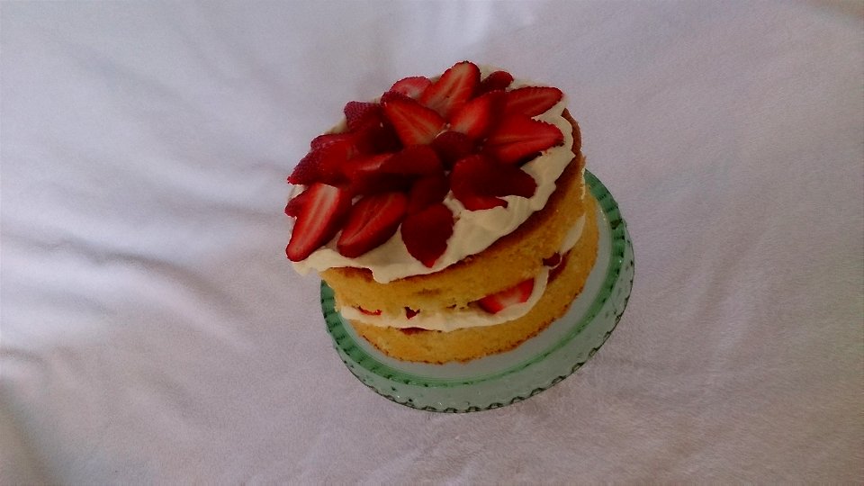 Sponge cake
