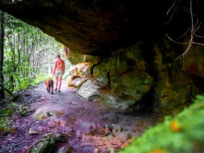 Birdwood Gully (Springwood) - The Blue Mountains Australia