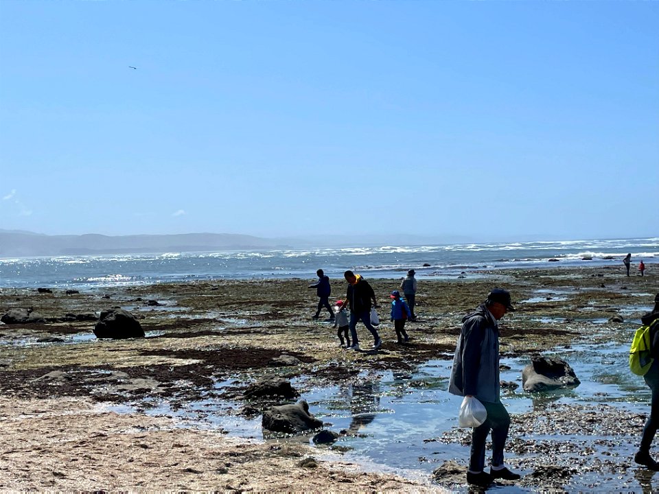 People Visiting Reef 5