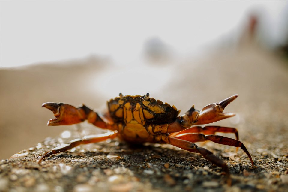 phil-hearing-AHGPhgPFYp0-unsplash