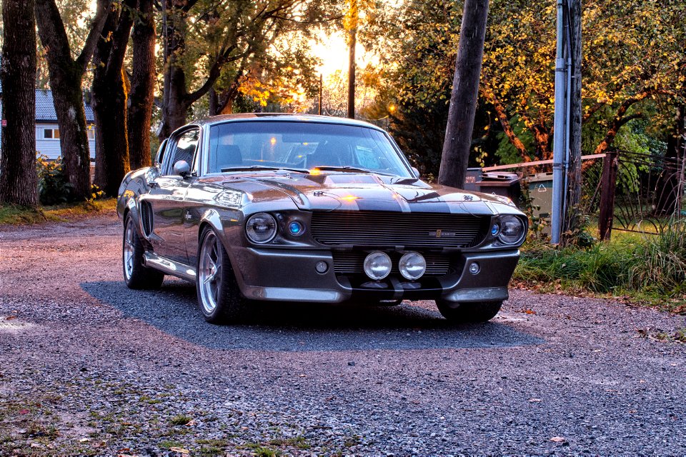 Eleanor GT500 Shelby 1967