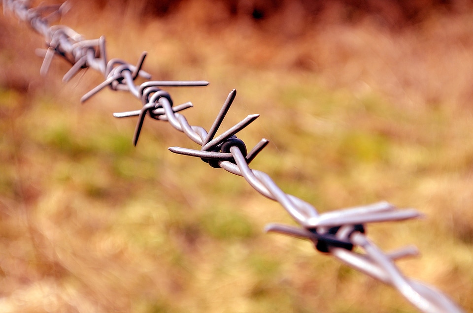 Border fence privacy