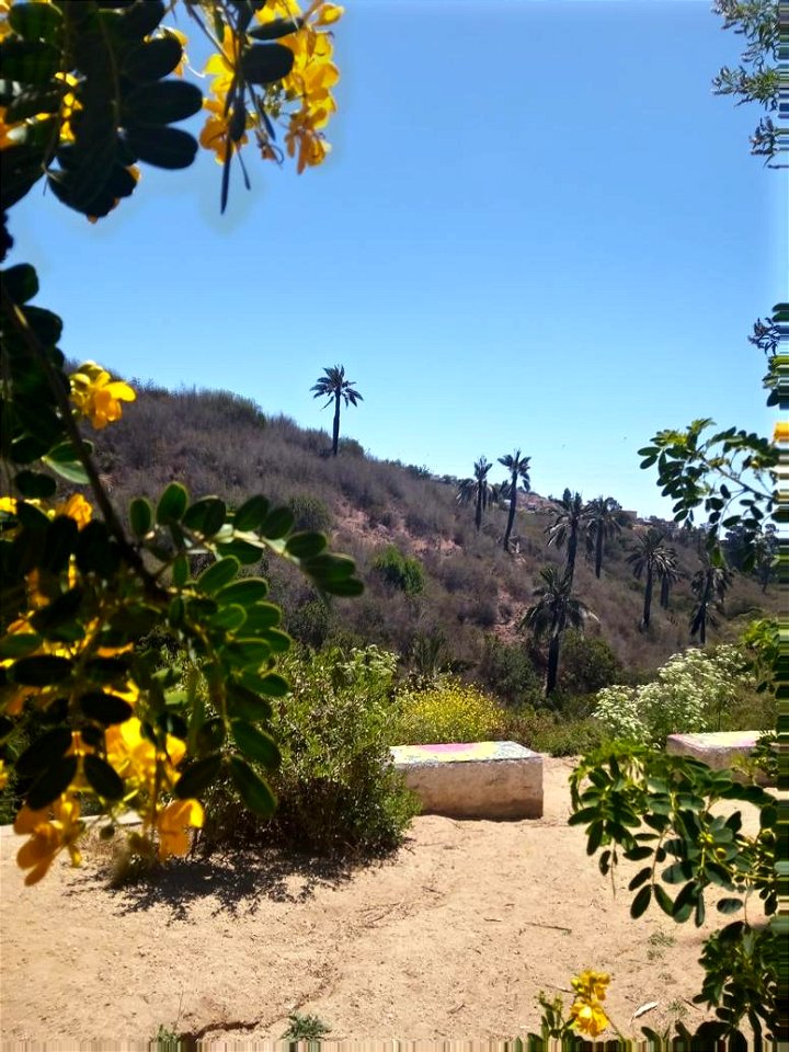 mirador cabriteria