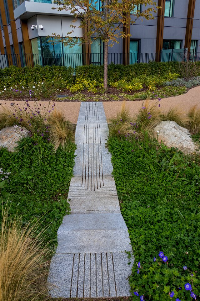 181104 Woodberry Down + Spring Park SuDS (3 of 19)
