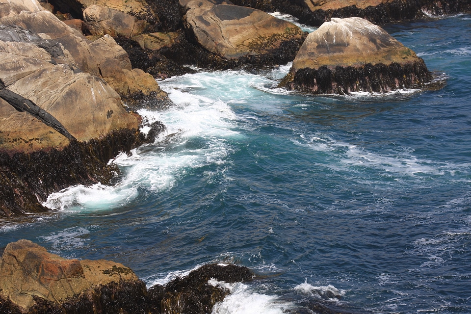 beach in Patagonia along the straits of Magellan