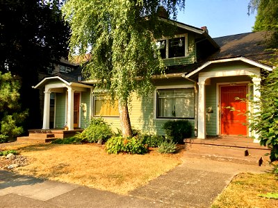Red Door Duplex, NE Portland Tree