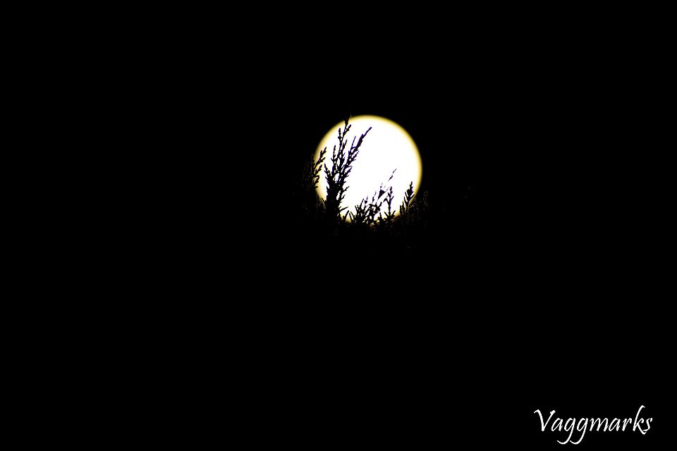 September21-Fullmoon (3)