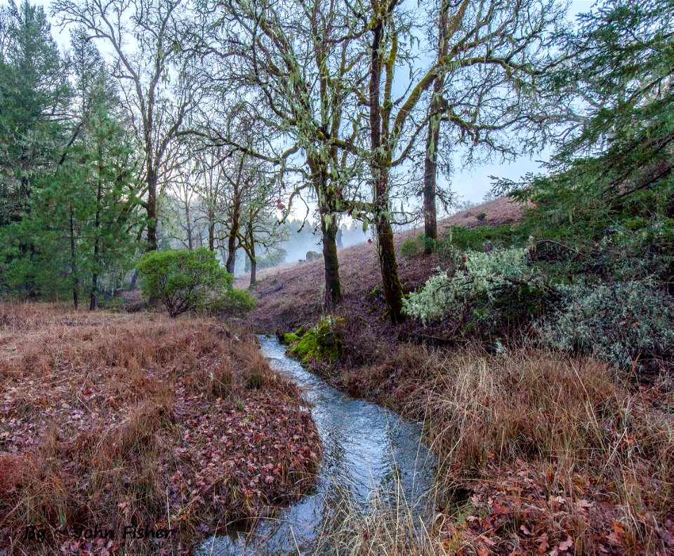 Winter's Stream
