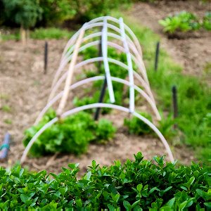 Allotment Gardens in Zagreb (Siget)