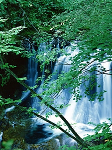 Waterfall in deep rain forest jungle photo