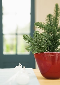 Christmas decoration in heart shape in vintage pot on wooden back