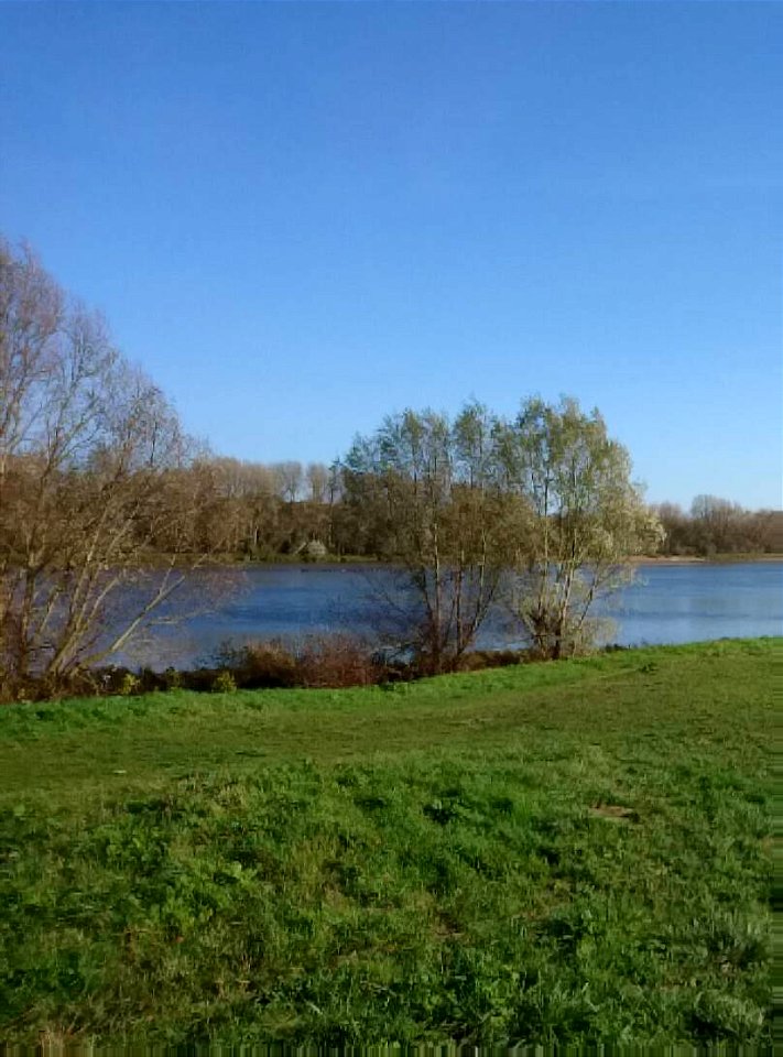 Noon on the Loire