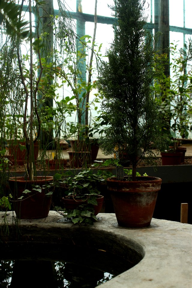 Pots & Green
