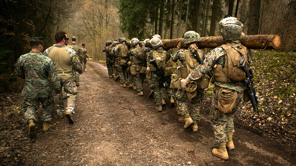 U.S. Marines carry a tree photo