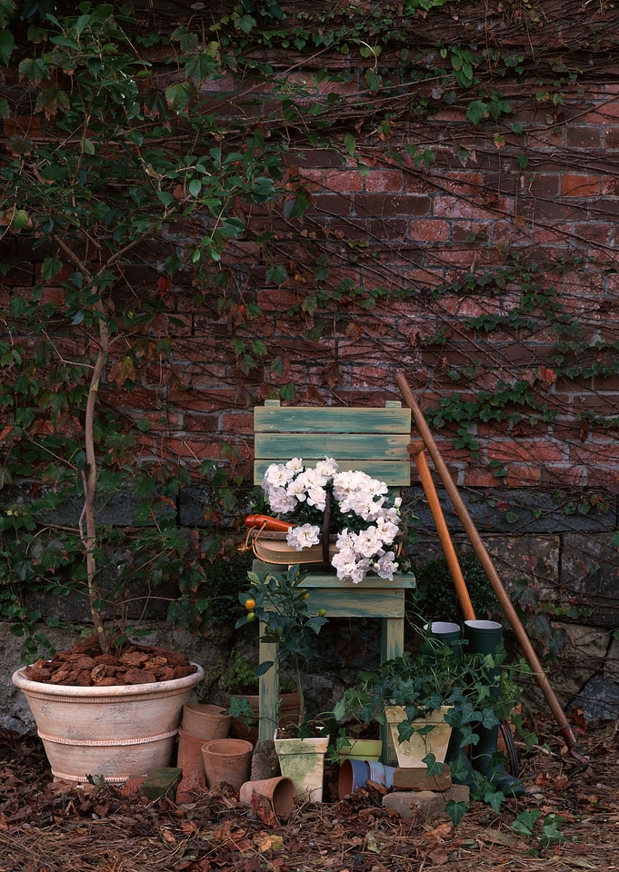 Flowers and a gardening kit sit on a grassy slope.