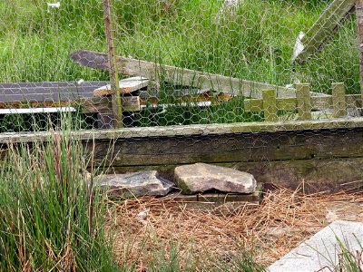 Mammal trap on Yorkshire Water's Thornton Moor