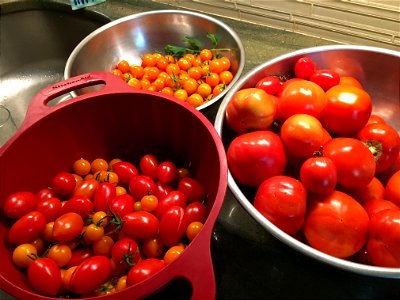 beautiful bowls of red tomatoes photo