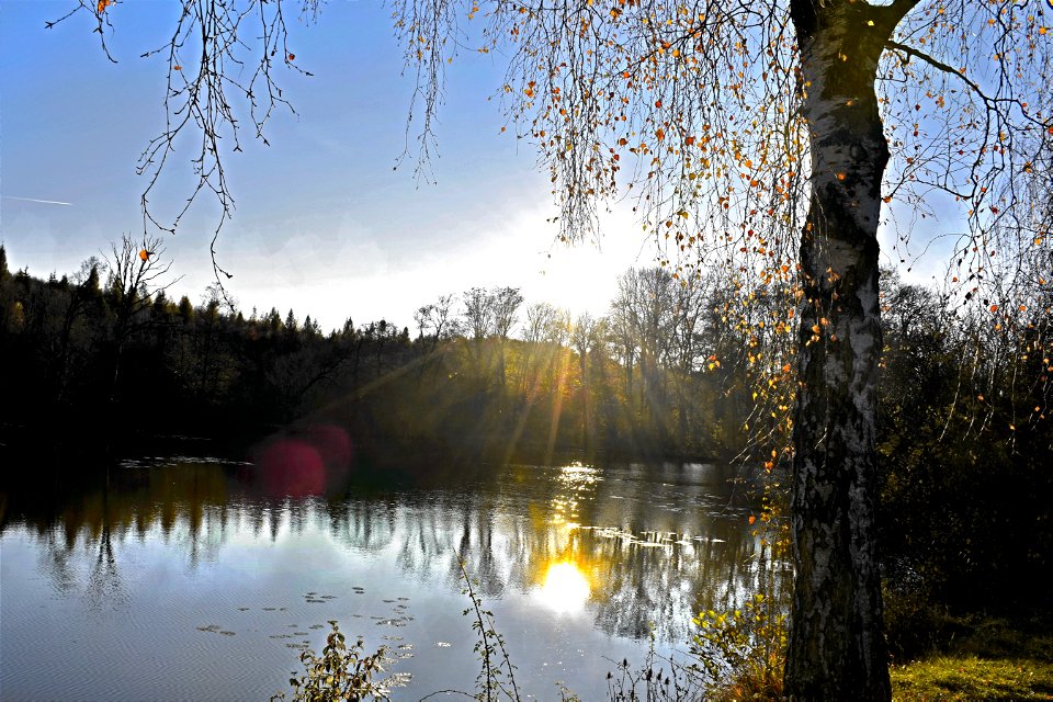 + Sunset over the Pond + photo