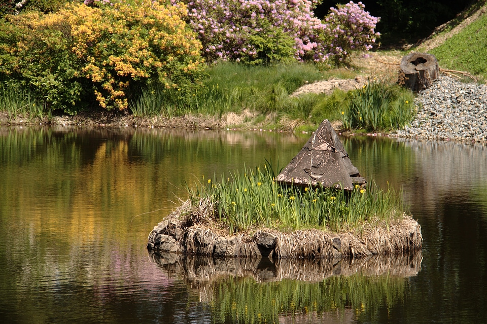 Beautiful summer Park