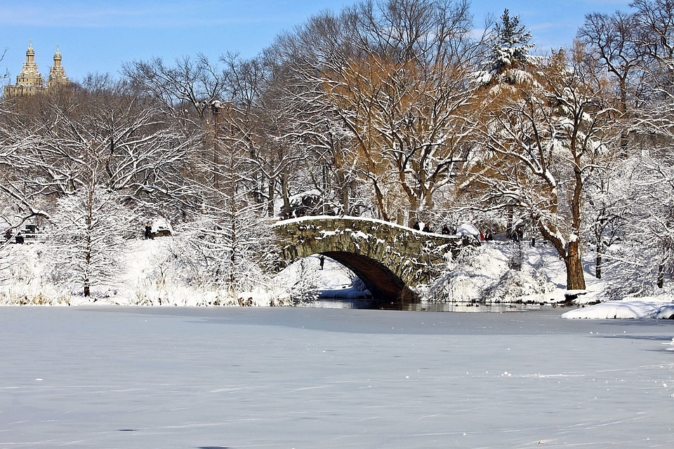 Winter Central Park Manhattan New York