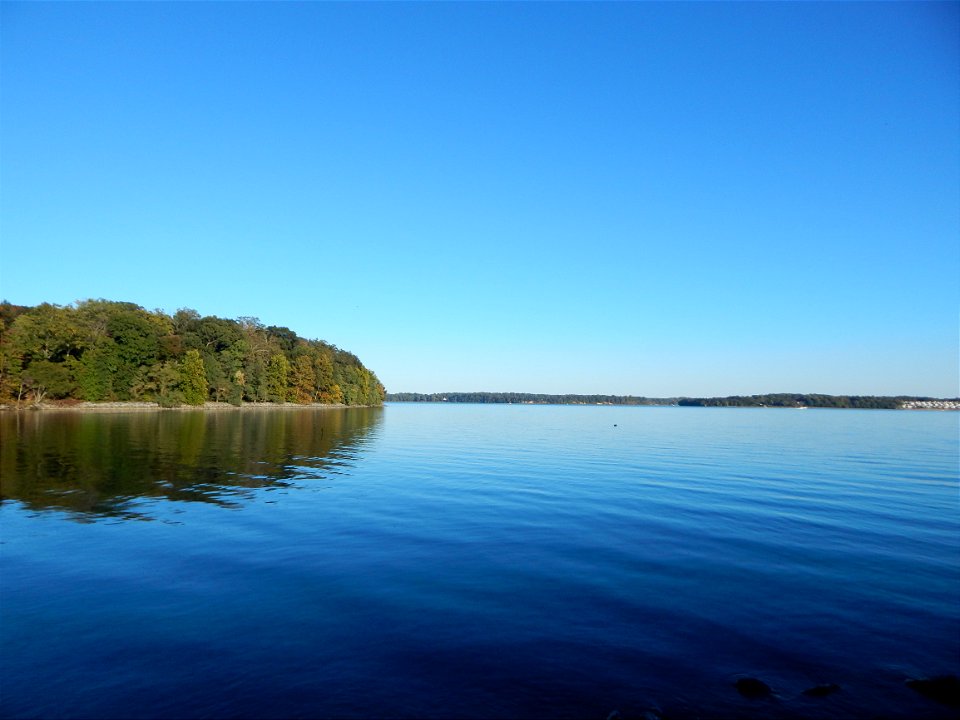 Rogues Harbor