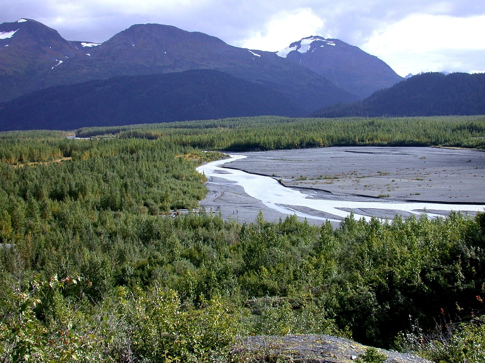 Mountains and a braided stream