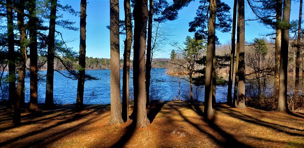 Loch.Raven.Reservoir.Through.the.trees