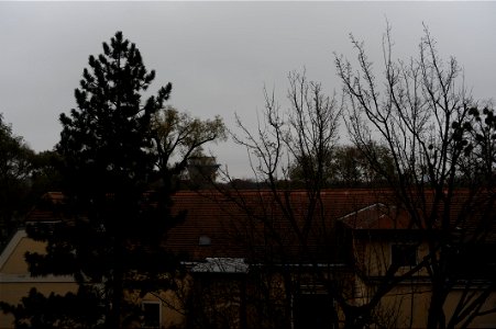 DSC_4856