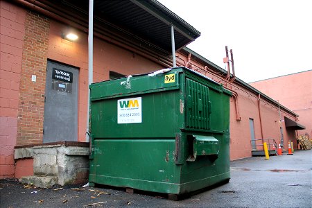 WM dumpster photo